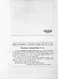 Image Associated With the Occurence